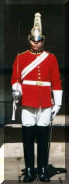 Palace Guard.jpg (16844 bytes)