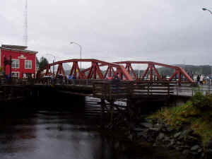 Creek Street held lots of salmon swimming upstream