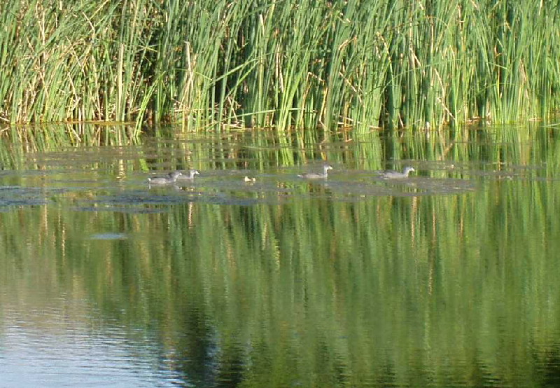 image4
